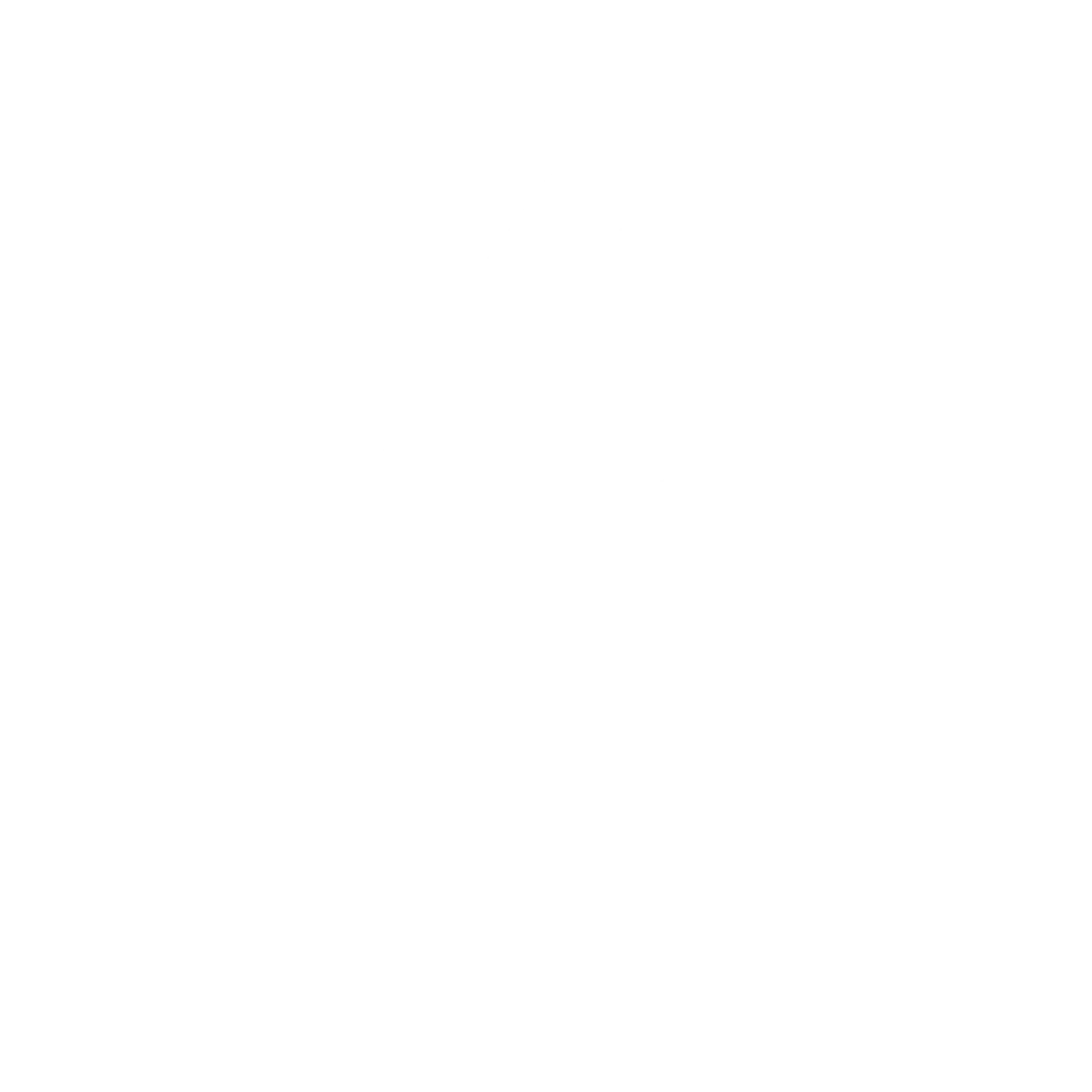 Adizya Logo